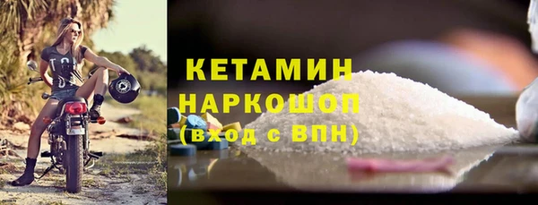 прущие грибы Беломорск
