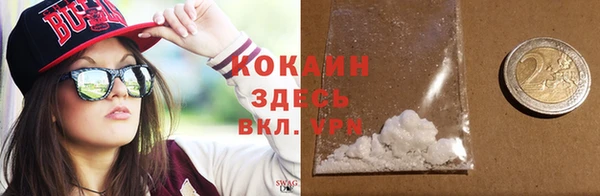 прущие грибы Беломорск