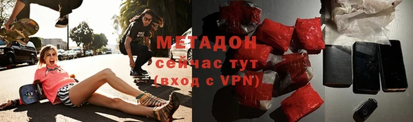 прущие грибы Беломорск