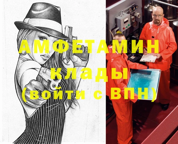 прущие грибы Беломорск