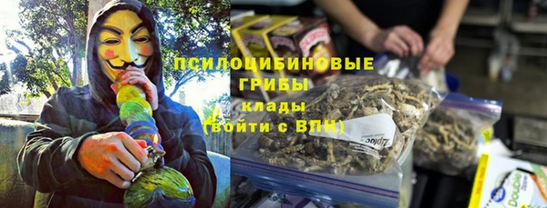 прущие грибы Беломорск