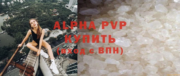прущие грибы Беломорск