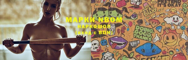 прущие грибы Беломорск