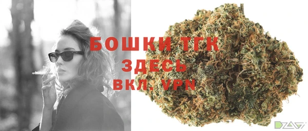 СК Богородицк